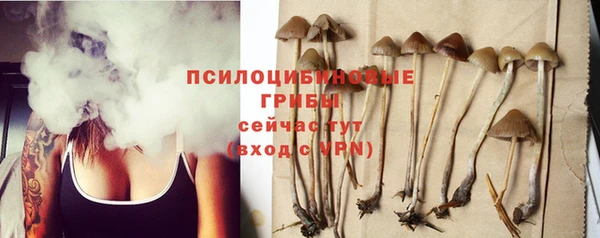 эйфоретик Беломорск