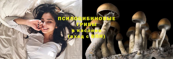 эйфоретик Беломорск