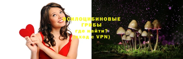 эйфоретик Беломорск