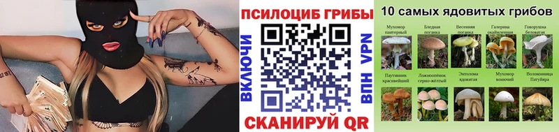 Галлюциногенные грибы мицелий  Волчанск 